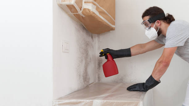Professional Attic Mold Removal technician working in Hillsborough, NC