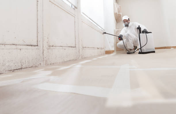 24/7 Emergency Attic Mold Removal experts in Hillsborough, NC