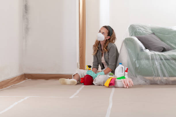 Reliable Attic Mold Removal contractor in Hillsborough, NC by WQB Mold Removal