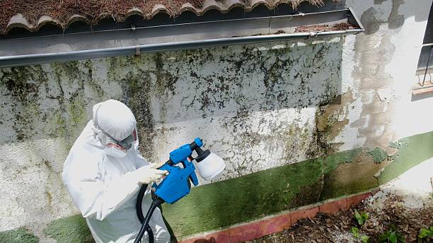 Top rated local Attic Mold Removal specialists in Hillsborough, NC